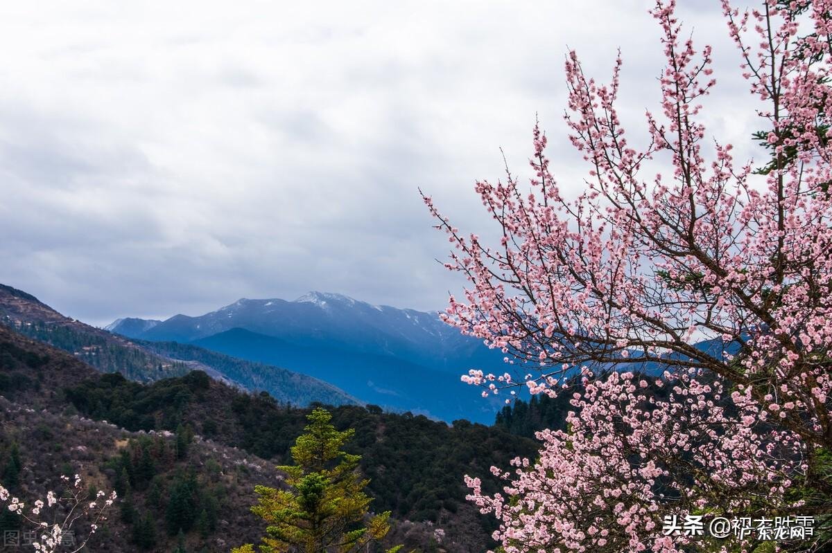 踏青又叫春游古时候叫什么 踏春是几月开始的