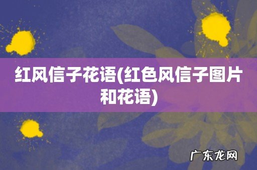红色风信子图片和花语 红风信子花语