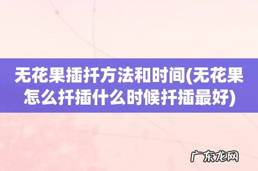 无花果怎么扦插什么时候扦插最好 无花果插扦方法和时间