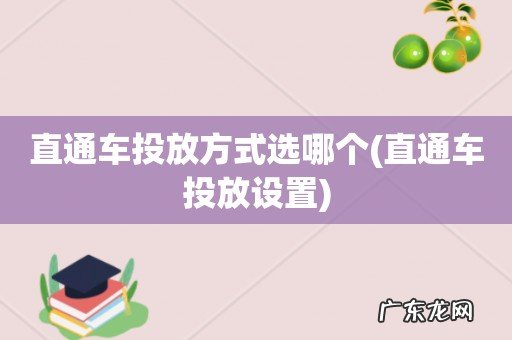 直通车投放设置 直通车投放方式选哪个