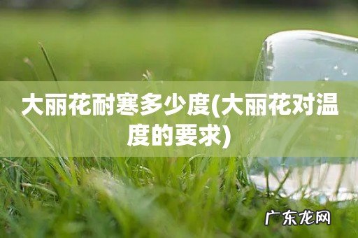 大丽花对温度的要求 大丽花耐寒多少度