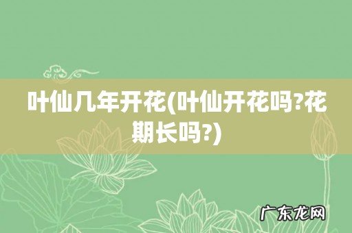 叶仙开花吗?花期长吗? 叶仙几年开花