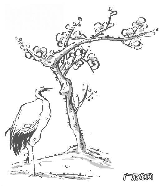 词最早来源于什么时候 词起源于哪个朝代盛行于哪个朝代