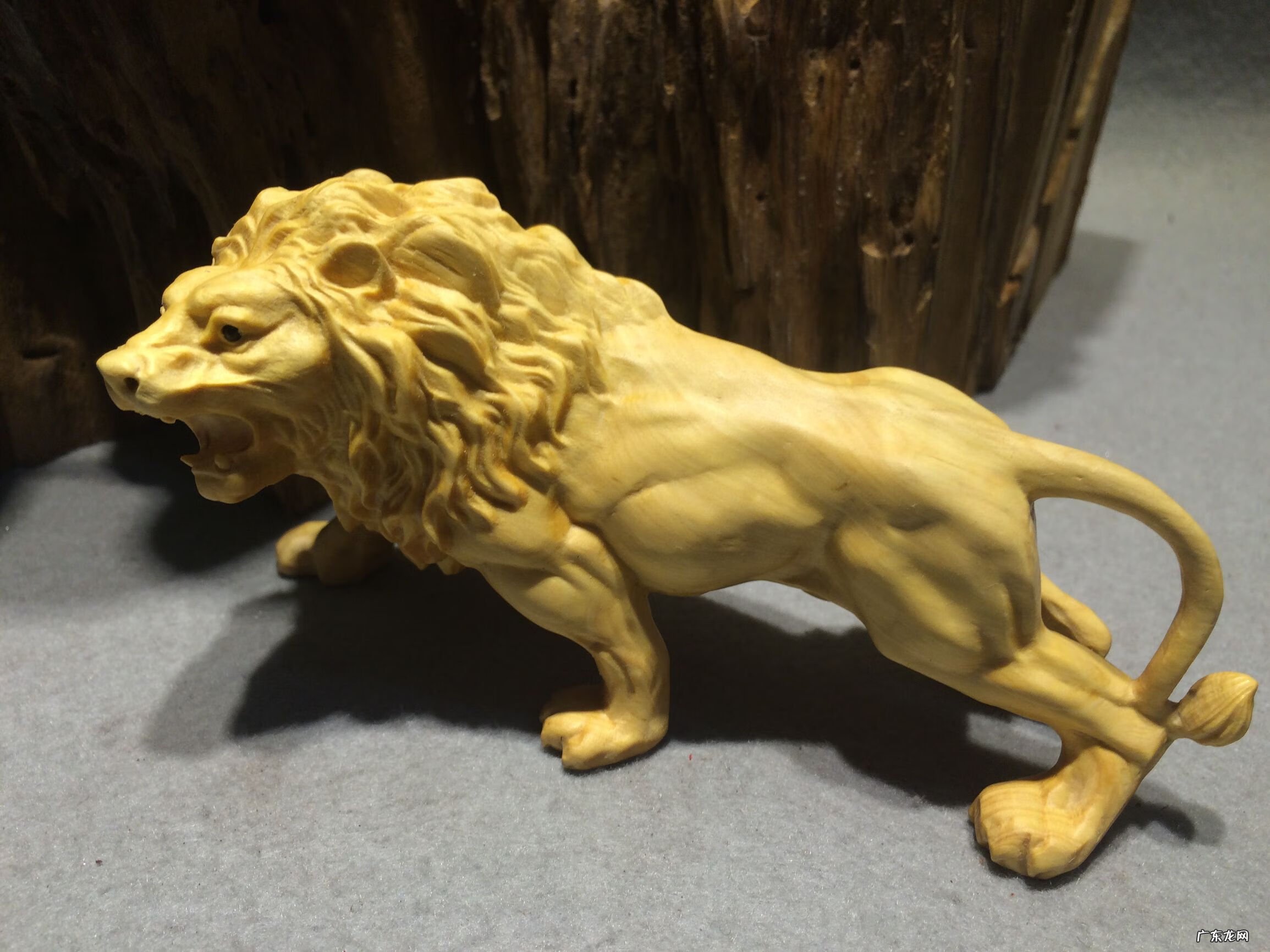 屋里面有狮子的图片风水 狮子摆件风水