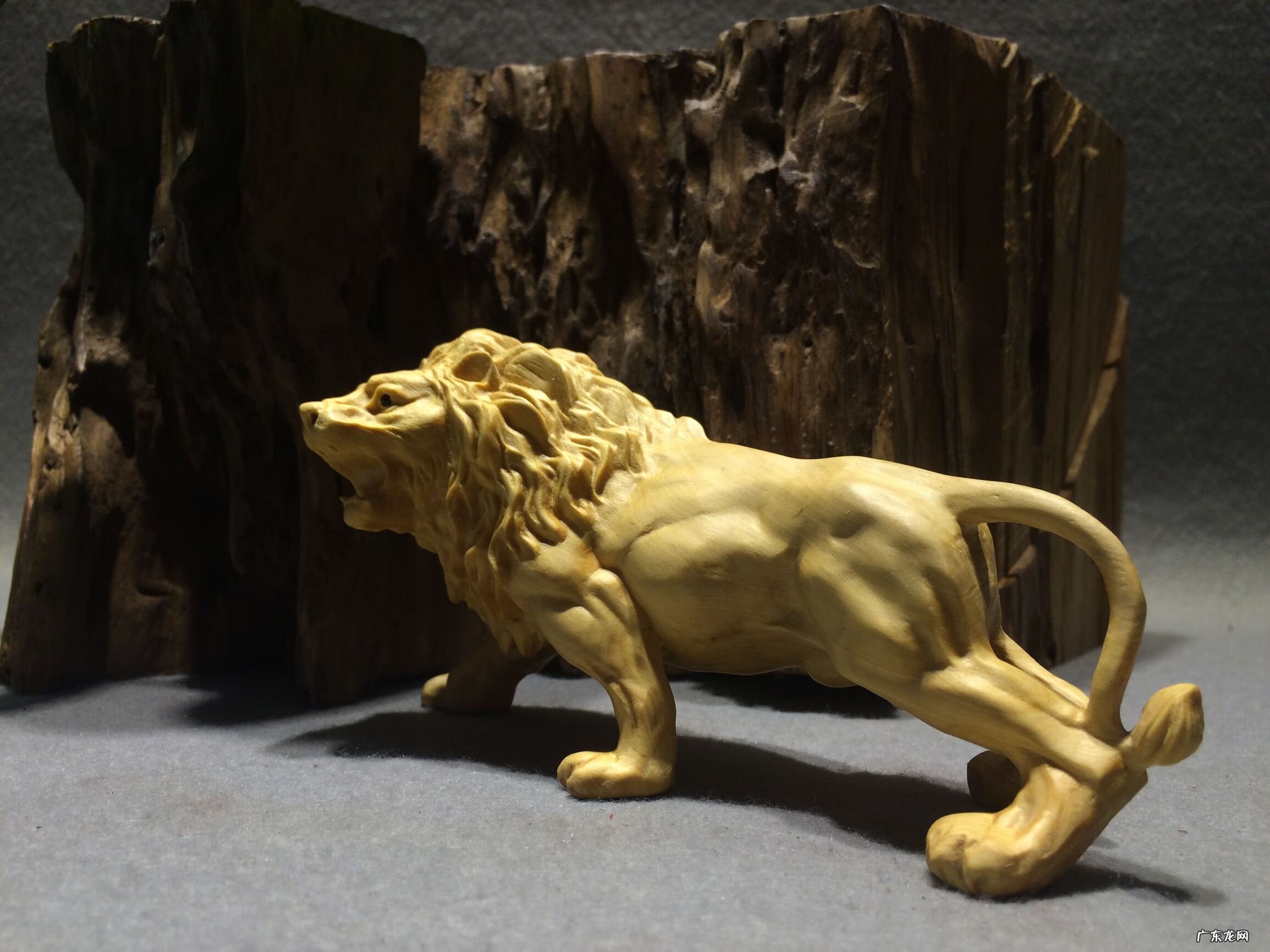 屋里面有狮子的图片风水 狮子摆件风水