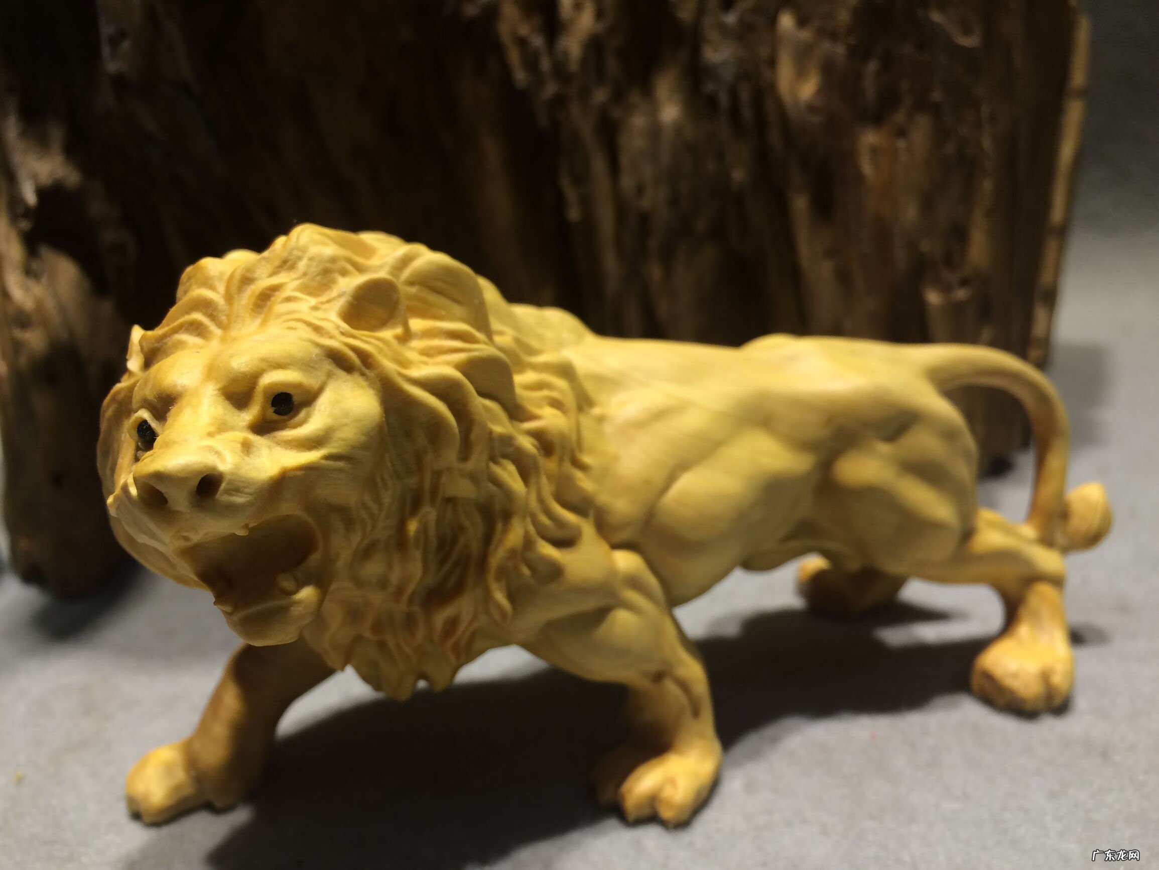 屋里面有狮子的图片风水 狮子摆件风水