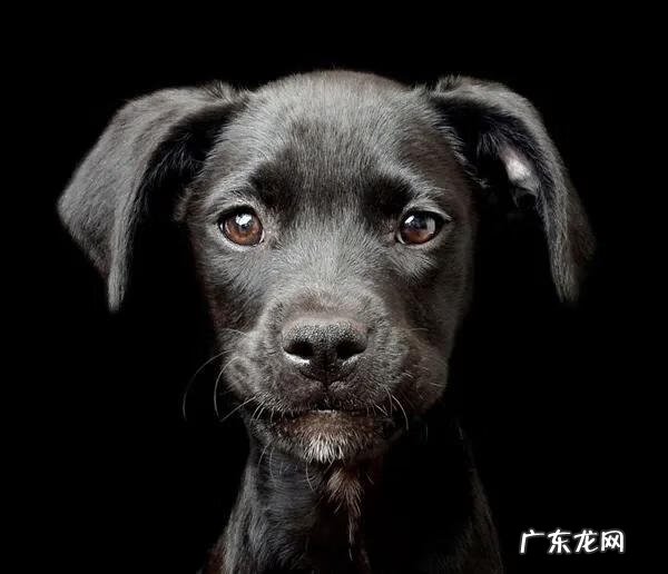 揭阳风水 旺茂镇风水