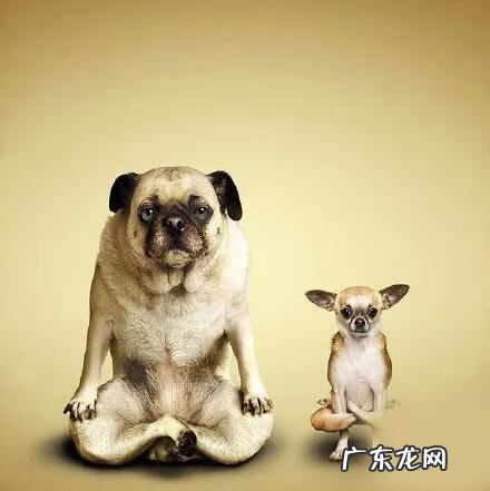 揭阳风水 旺茂镇风水