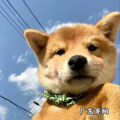 揭阳风水 旺茂镇风水