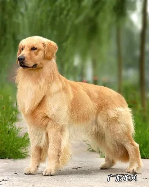 揭阳风水 旺茂镇风水