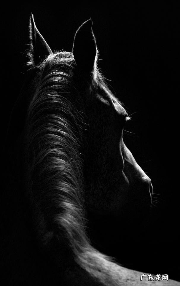 古代十二个时辰分别代表了什么 七点到八点是什么时辰