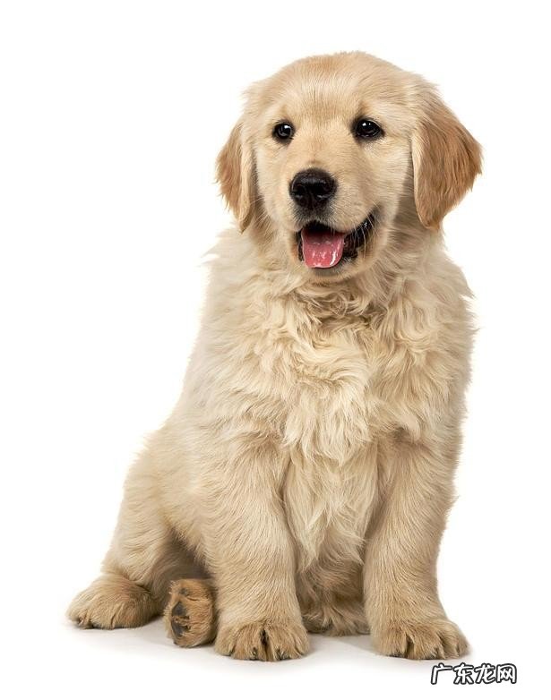 古代十二个时辰分别代表了什么 七点到八点是什么时辰