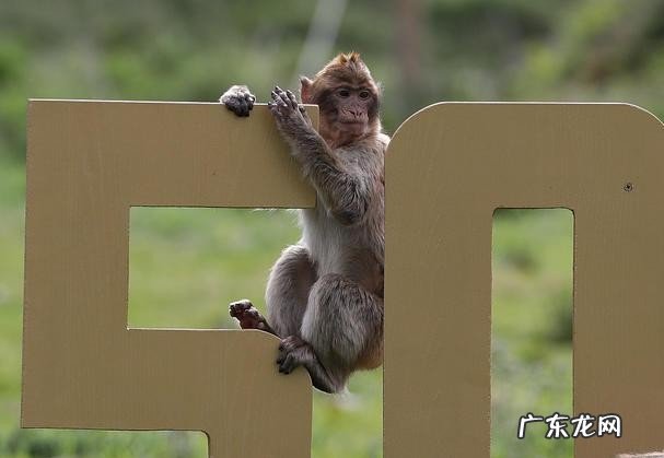 古代十二个时辰分别代表了什么 七点到八点是什么时辰