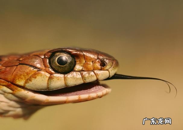 古代十二个时辰分别代表了什么 七点到八点是什么时辰