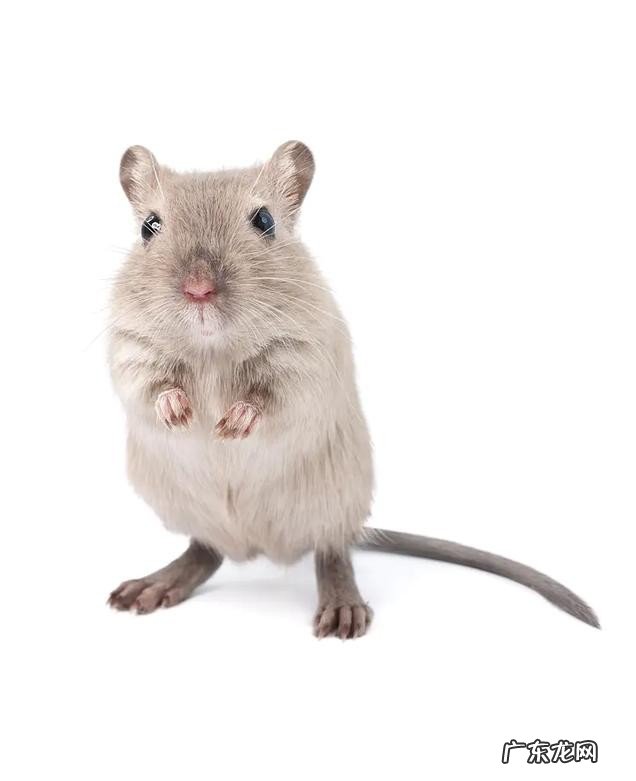 古代十二个时辰分别代表了什么 七点到八点是什么时辰