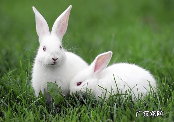 古代十二个时辰分别代表了什么 七点到八点是什么时辰