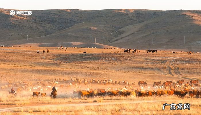 古尔邦节是什么节日?古尔邦节是哪个民族的节日?