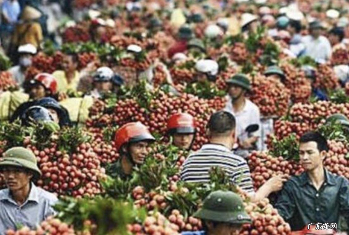 越南未来的发展面临哪些危机 越南发展前景怎么样
