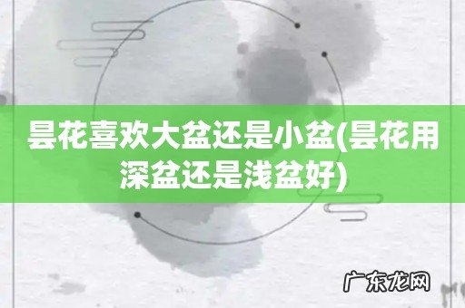 昙花用深盆还是浅盆好 昙花喜欢大盆还是小盆