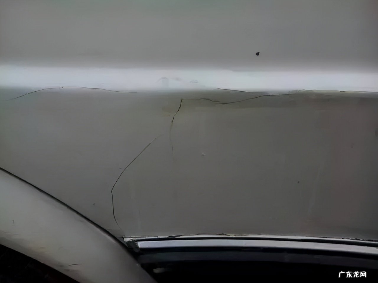 车身有白色斑点怎么办 白色车身上有很多斑点怎么清除