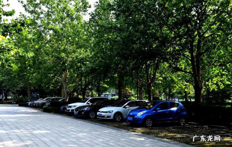 车身有白色斑点怎么办 白色车身上有很多斑点怎么清除