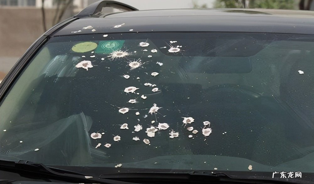 车身有白色斑点怎么办 白色车身上有很多斑点怎么清除