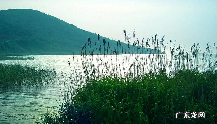 湖南湖北的湖指的什么湖?洞庭湖介绍