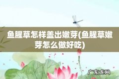 鱼腥草嫩芽怎么做好吃 鱼腥草怎样盖出嫩芽