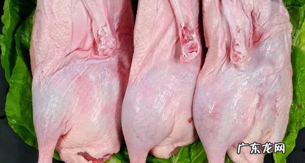 红肉与白肉的区别是什么?