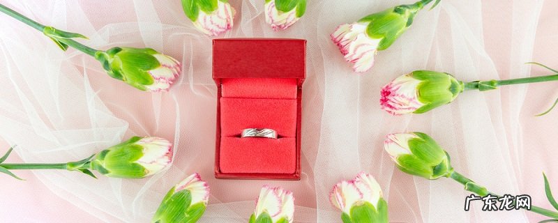 pt950指的是什么金?pt950多少钱?