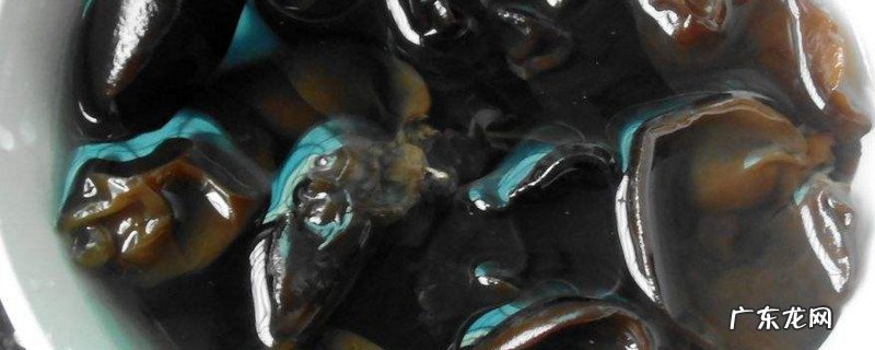 隔夜泡发的木耳能吃吗?