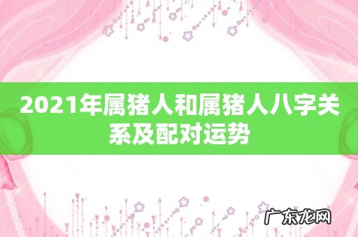 2021年属猪人和属猪人八字关系及配对运势