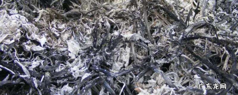 什么是草木灰?草木灰可以做肥料吗?