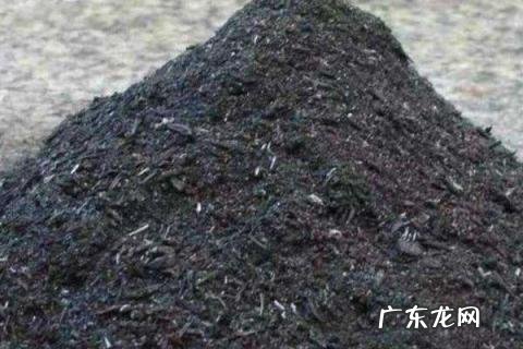 什么是草木灰?草木灰可以做肥料吗?