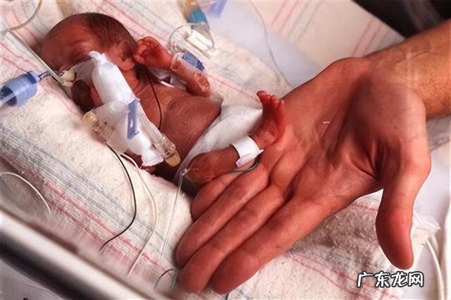 怀孕图片 5个月胎儿图片