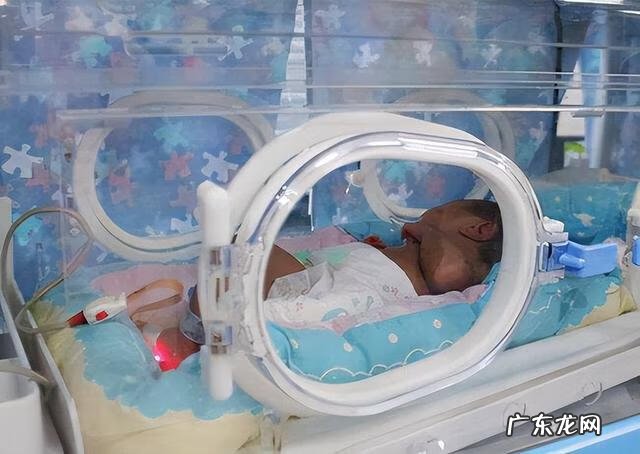 怀孕图片 5个月胎儿图片