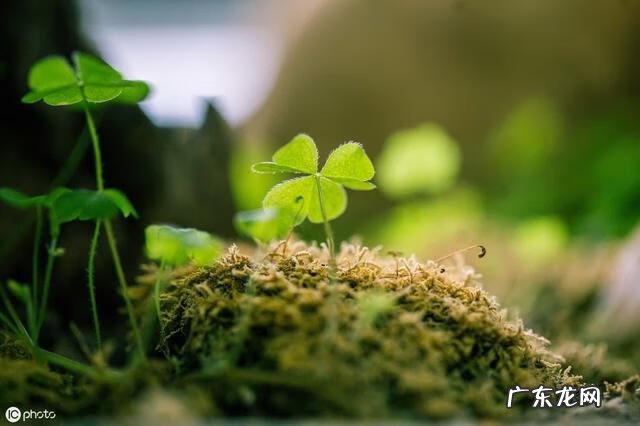 你浪滴的一滴水 你浪花的一滴水节选