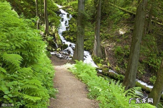 你浪滴的一滴水 你浪花的一滴水节选