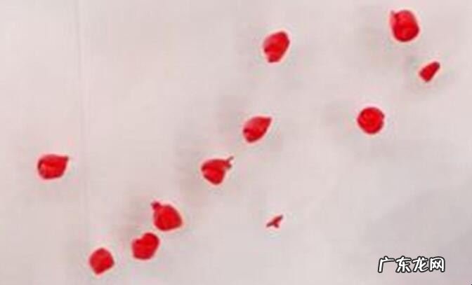 超轻粘土花朵教程是什么