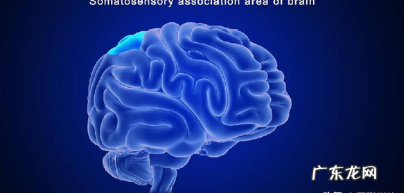 整天特别累疺是怎么回事 老是觉得累没精神应该怎么办