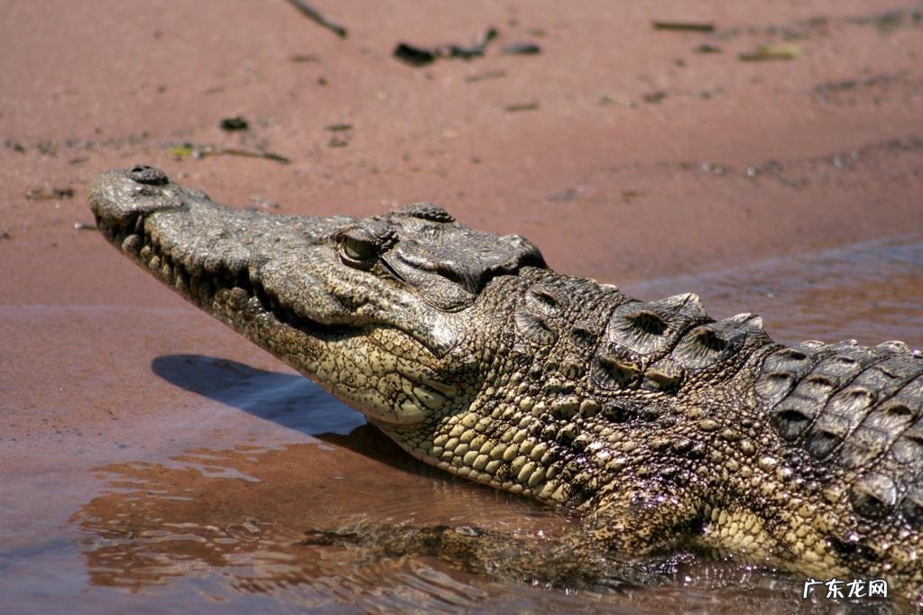 湖北省的简称鄂与什么有关系 鄂是哪里的简称与由来