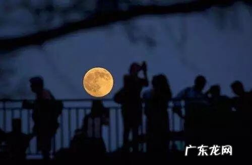 中秋有关的诗词两首 中秋的诗句