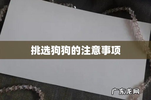挑选狗狗的注意事项