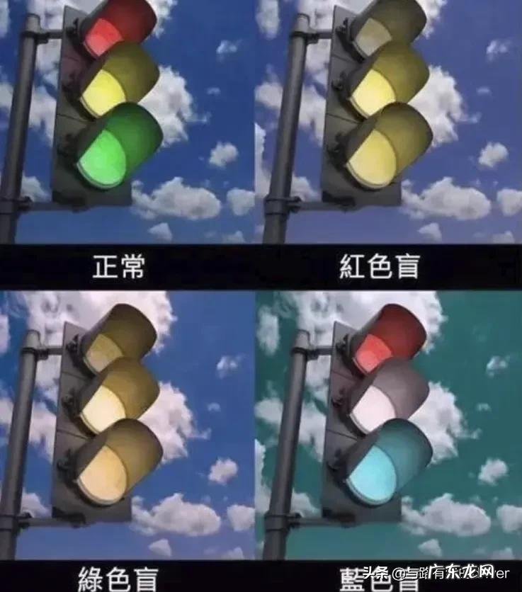 色弱的人影响考汽车驾照吗 换驾驶证色弱会吊销吗