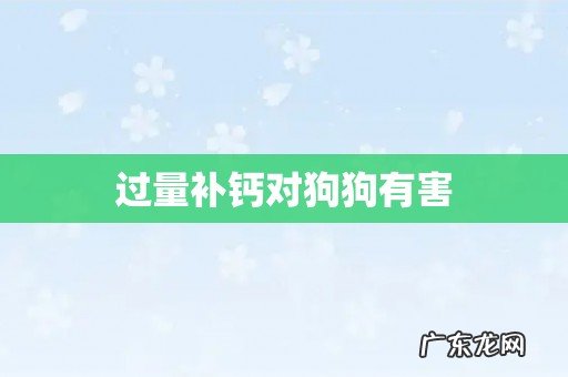 过量补钙对狗狗有害