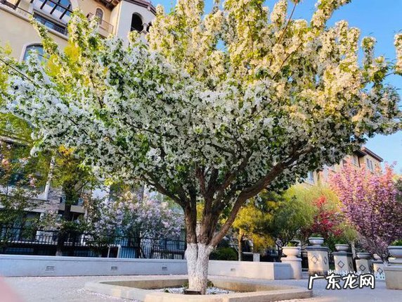 自我为中心人格形成的特征 以自我为中心的人是什么人格