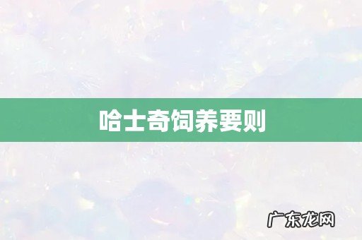 哈士奇饲养要则