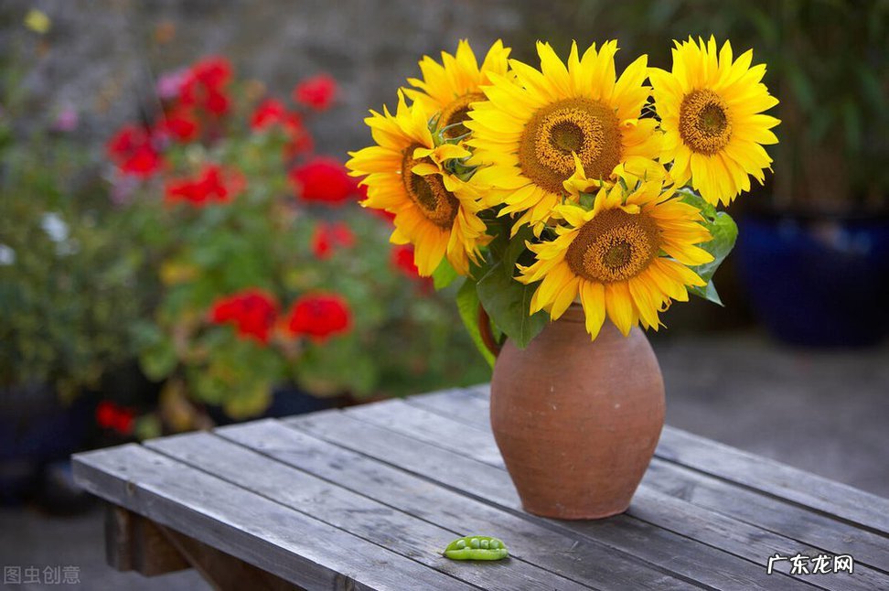 怎么做才能战胜对于死亡的恐惧 几句话消除死亡恐惧