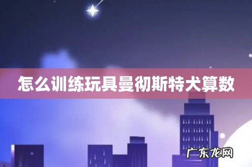 怎么训练玩具曼彻斯特犬算数