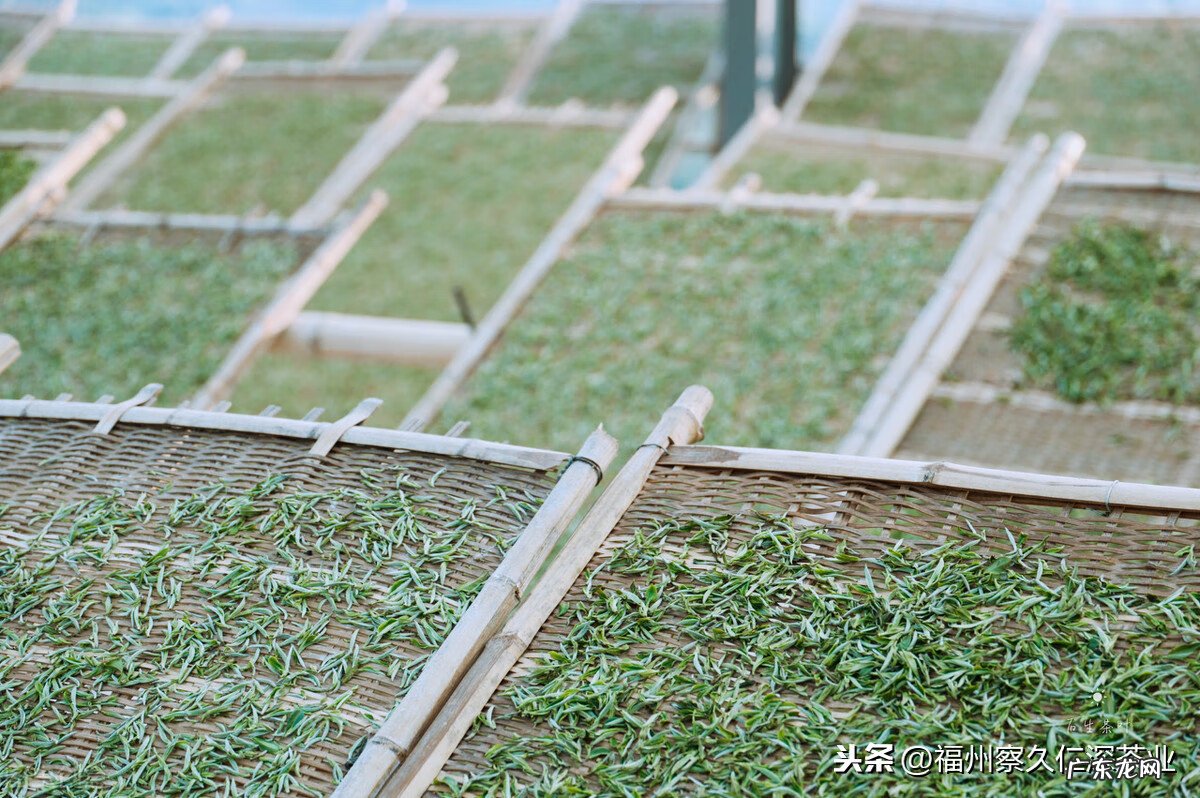 白酒泡茶叶有什么功效 茶叶跟米酒是什么意思